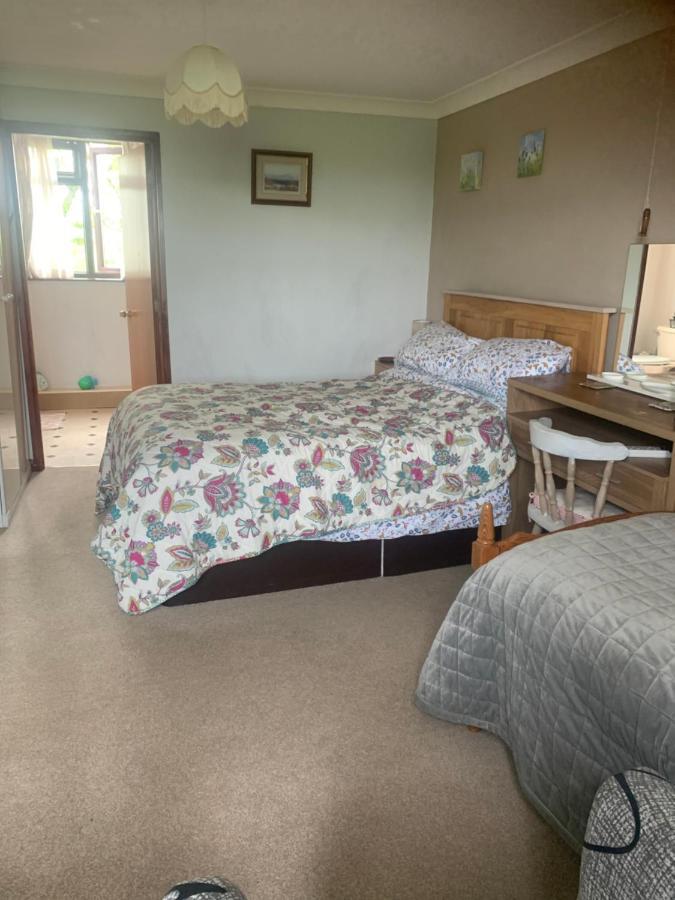 Heathergate Cottage Dartmoor Bnb Lydford Ngoại thất bức ảnh