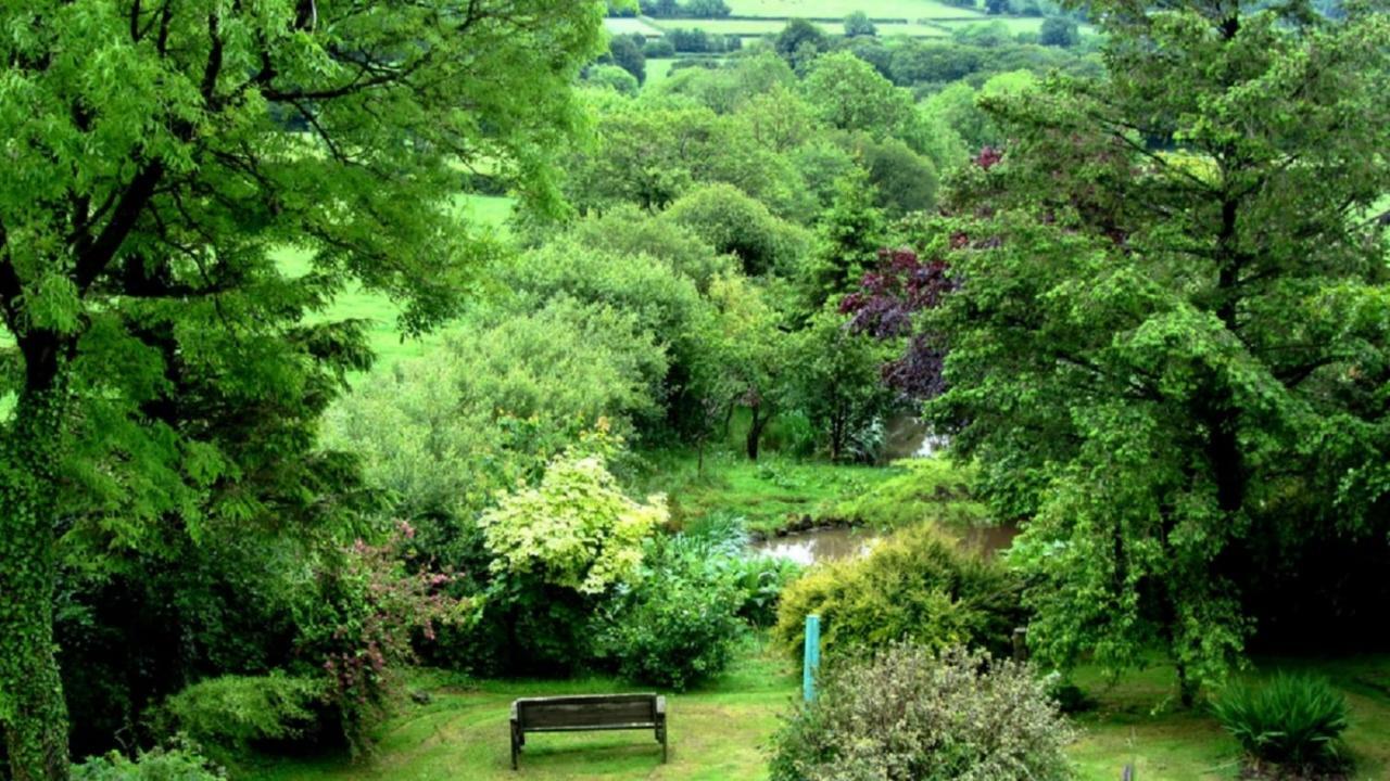 Heathergate Cottage Dartmoor Bnb Lydford Ngoại thất bức ảnh